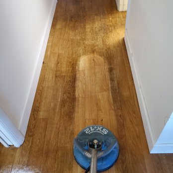 Expert Carpet Cleaning - Steam Clean Vinyl - Carpet Cleaning Near Me - Pinellas Park, Florida Expert Carpet Cleaning - Steam Clean Vinyl - Carpet Cleaning Near Me - Pinellas Park, Florida