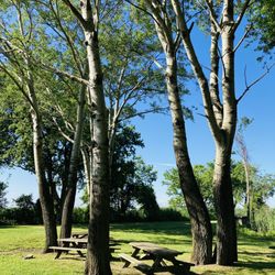 Fort Dupont State Park - Fort DuPont State Park