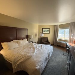 Comfort Inn University