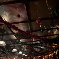 The Roger Room - Interior (Christmas Time)