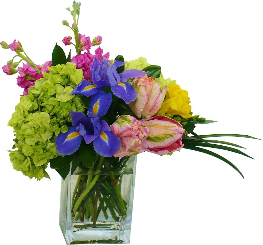 BLOSSOM SHOPS Updated August 2024 1949 Upper Water Street, Halifax