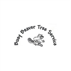 Busy Beaver Tree Service