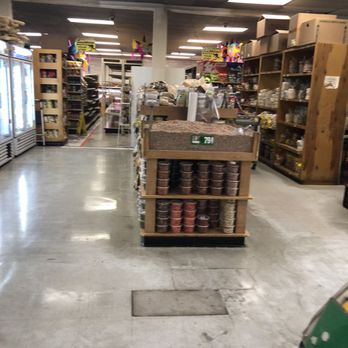 Los Altos Meat Market - Meat Shops Near Me - Hemet, California