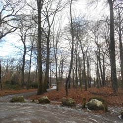 Erstes Wandsbeker Gehölz