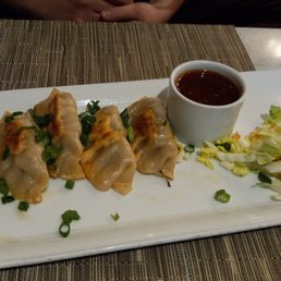 Wonton Popper