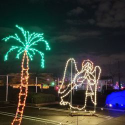 Bayside Christmas Adventure - Palm Tree