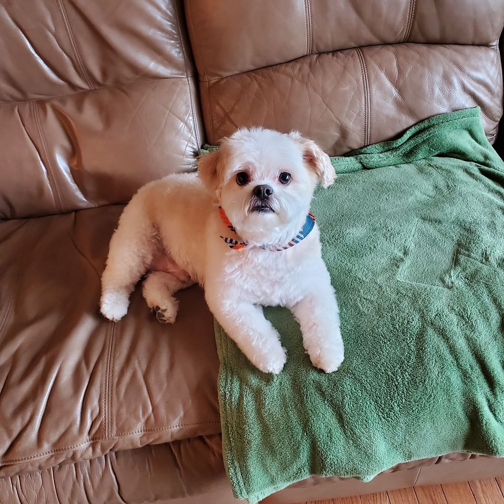 Calvin got a haircut! Calvin got a haircut!