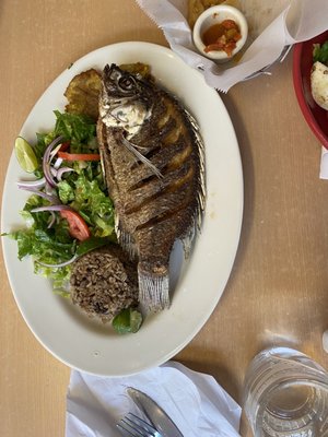 El Parche Colombiano by null El Parche Colombiano by null