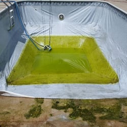 Immaculate Pools & Spas