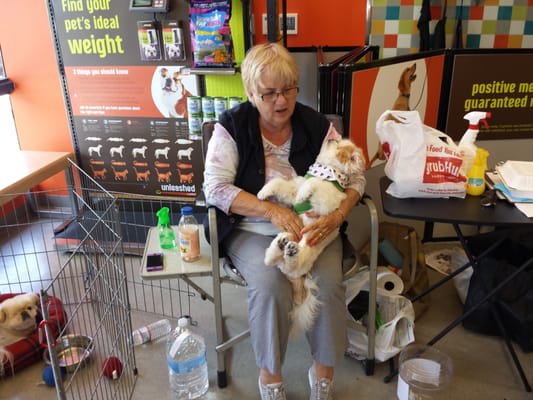 Unleashed by Petco by null