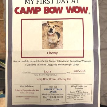 Camp Bow Wow - Woot woot! Chewy passed his interview! - Pet Sitting Near Me - Cherry Hill, New Jersey Camp Bow Wow - Woot woot! Chewy passed his interview! - Pet Sitting Near Me - Cherry Hill, New Jersey