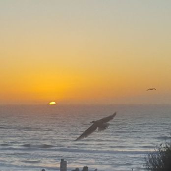 The Waves Hotel - Our view - Hotels Near Me - Newport, Oregon The Waves Hotel - Our view - Hotels Near Me - Newport, Oregon