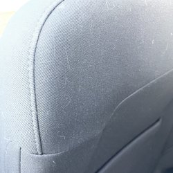 Avis Rent A Car - Dog Hair