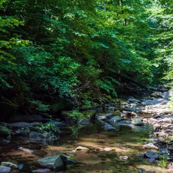 Soapstone Valley Park