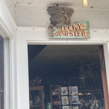 The Lucky Dumpster - Say hello to the resident swallow! - Used, Vintage & Consignment Near Me - Bow, Washington The Lucky Dumpster - Say hello to the resident swallow! - Used, Vintage & Consignment Near Me - Bow, Washington
