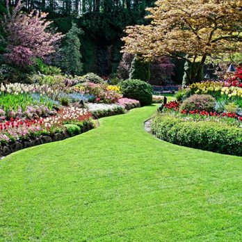 Nichols Development Group - a garden with lush green grass and colorful flowers - Demolition Services Near Me - East St Louis, Illinois Nichols Development Group - a garden with lush green grass and colorful flowers - Demolition Services Near Me - East St Louis, Illinois
