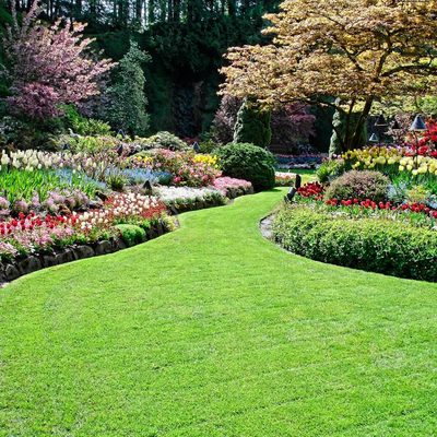 Landscape/Powerwash Projects - Landscape/Powerwash Projects