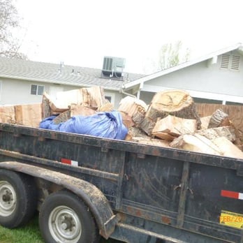 Harris Tree Service - Tree Services Near Me Harris Tree Service - Tree Services Near Me