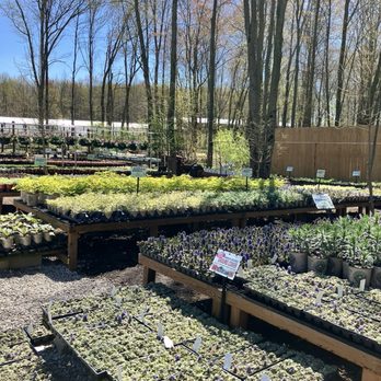 Groovy Plants Ranch - Nurseries & Gardening Near Me - Marengo, Ohio