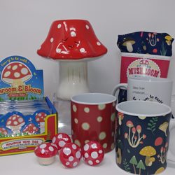 Ostroms Drug & Gift - Mushrooms!