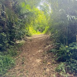 Puente La Hamaca - The hike in
