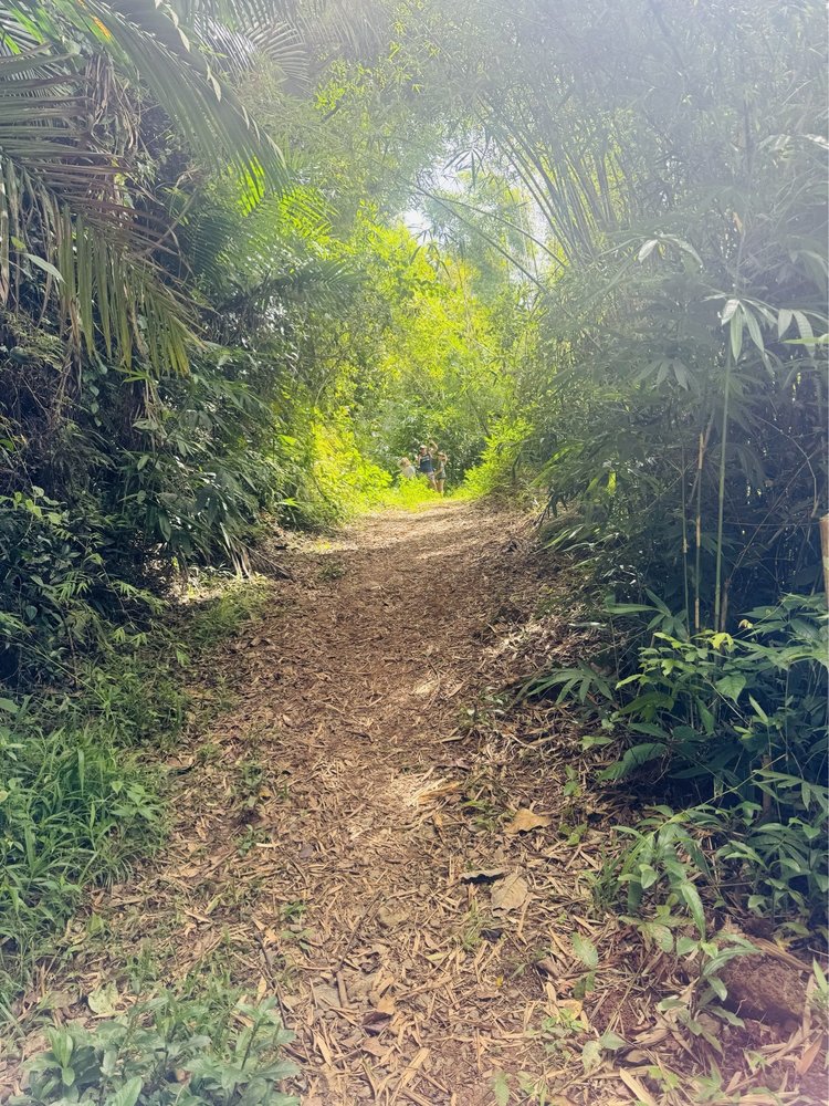 Puente La Hamaca Image