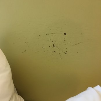 SpringHill Suites by Marriott Atlanta Airport Gateway - "Pleather" headboard cracked and peeling - Hotels Near Me - College Park, Georgia SpringHill Suites by Marriott Atlanta Airport Gateway - "Pleather" headboard cracked and peeling - Hotels Near Me - College Park, Georgia