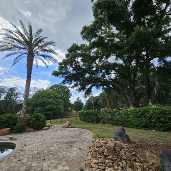 Clarke's Pro Tree Service - The beautiful looking sabal palm now and they even cleaned up this oak tree so it wasn't going into our yard anymore. Death bush is gone!! - Tree Services Near Me