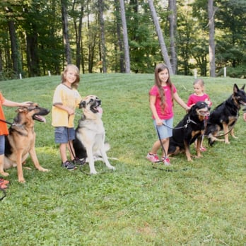 K-9 Academy - K-9 Academy kids class - Pet Training Near Me - Clarks Summit, Pennsylvania