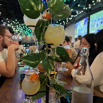 Your 3rd Spot - Cocktail Tree - Venues & Event Spaces Near Me - Atlanta, Georgia Your 3rd Spot - Cocktail Tree - Venues & Event Spaces Near Me - Atlanta, Georgia