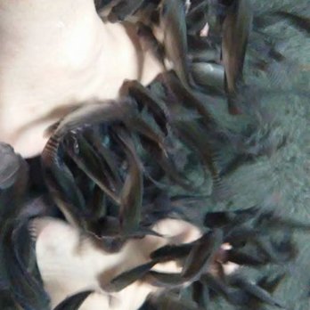 Hotel H2O - Great experience...Fish spa @ H2o spa. - Hotels Near Me - Manila, NCR