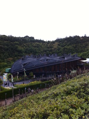 Eden Project by null