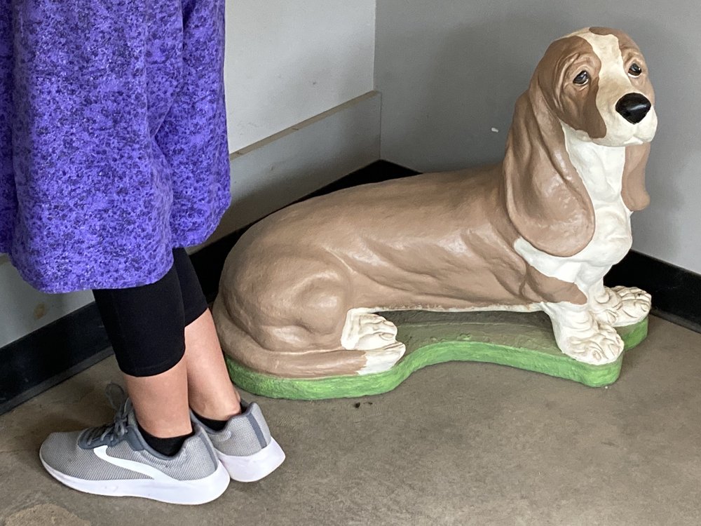 CAMBRIDGE SPRINGS TIRE CO Updated September 2024 23411 Thomas Rd