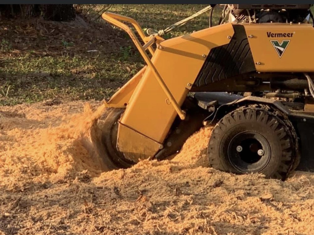 Big Dawg Tree Service and Stump Grinding - tree service in Winchester, KY