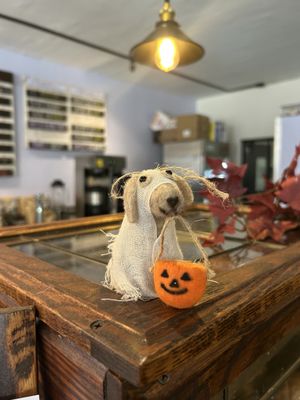 Young Hickory North Park by null