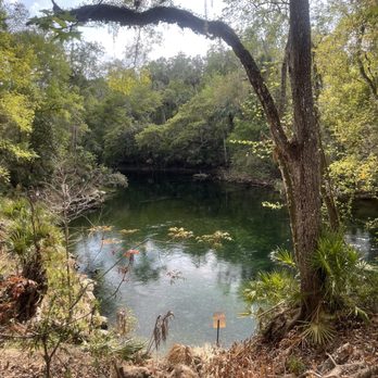 Blue Spring State Park - Parks Near Me - Orange City, Florida Blue Spring State Park - Parks Near Me - Orange City, Florida
