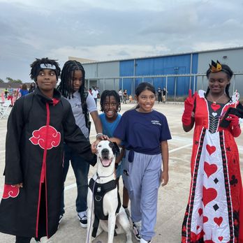 Connie Trains Dogs - Pet Training Near Me Connie Trains Dogs - Pet Training Near Me