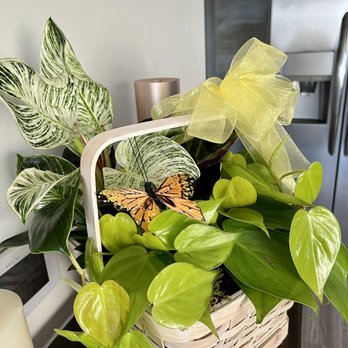 Central Florist - Luscious and fresh - Florists Near Me - Valley Stream, New York