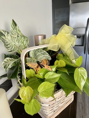 Central Florist by null