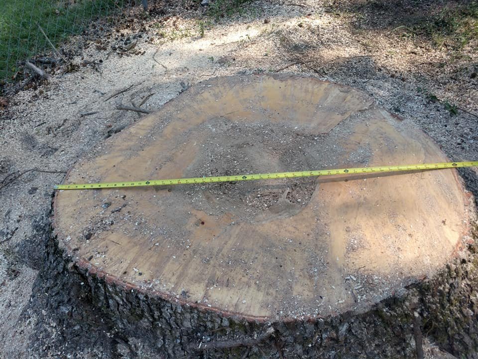 Grissom's Tree Service - tree service in Birmingham, AL