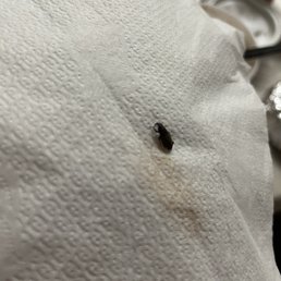 Found inside food Found inside food