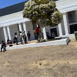 Martin Luther King Jr Academic Middle School - Stafff getting ball from tree