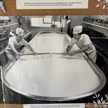 Widmer's Cheese Cellars - History of business - Cheese Shops Near Me - Theresa, Wisconsin Widmer's Cheese Cellars - History of business - Cheese Shops Near Me - Theresa, Wisconsin