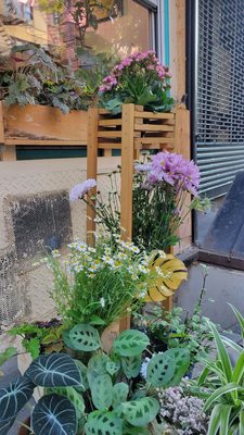 Terra Thai by null Terra Thai by null