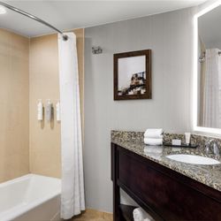 Embassy Suites by Hilton Birmingham - Guest room bath