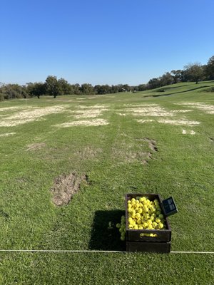 Lost Pines Golf Club by null