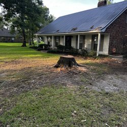 T&C Tree Services