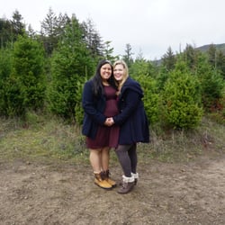 Black Road Christmas Tree Farms - Farm 3