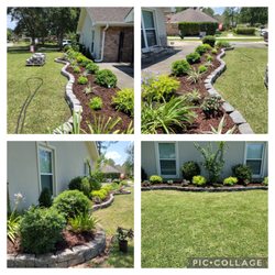 Shine The Light Garden And Landscaping