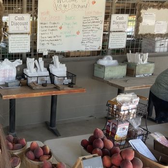 Vogel Orchard - peach stand - Fruits & Veggies Near Me - Fredericksburg, Texas Vogel Orchard - peach stand - Fruits & Veggies Near Me - Fredericksburg, Texas